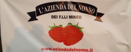 L'azienda del nonno dei F.lli Mineo