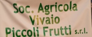 Soc. Agricola Piccoli Frutti